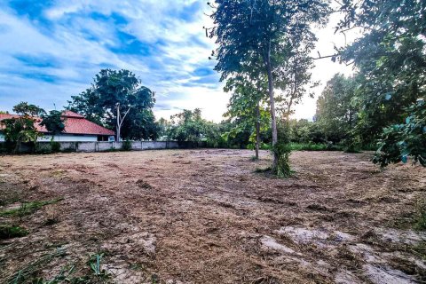 Земельный участок в Чиангмае, Таиланд № 121732 - фото 7