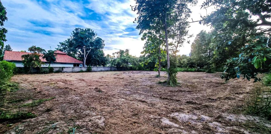 Земельный участок в Чиангмае, Таиланд  № 121732