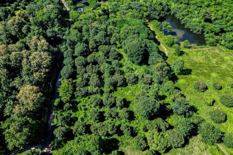 Terrain à Chiang Mai, Thaïlande № 121731 - photo 6