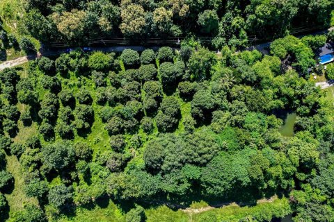 Terrain à Chiang Mai, Thaïlande № 121731 - photo 4