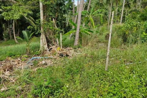 Terrain à Ko Samui, Thaïlande 5928 m2 № 164635 - photo 10