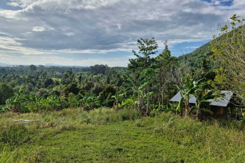 Terrain à Ko Samui, Thaïlande 5928 m2 № 164635 - photo 6