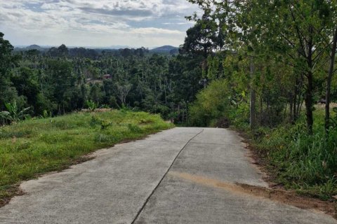 Terrain à Ko Samui, Thaïlande 5928 m2 № 164635 - photo 2