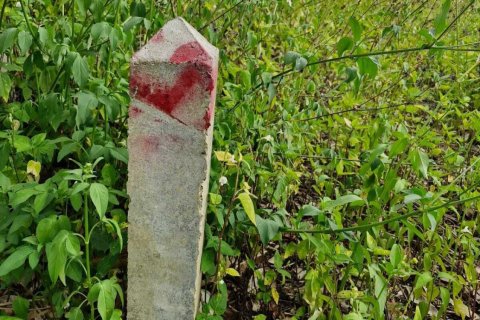 Terrain à Ko Samui, Thaïlande 5928 m2 № 164635 - photo 9