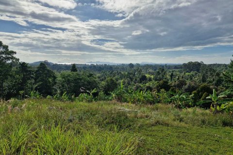 Terrain à Ko Samui, Thaïlande 5928 m2 № 164635 - photo 8