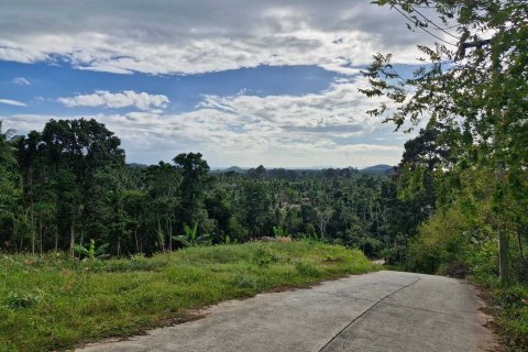 Terrain à Ko Samui, Thaïlande 5928 m2 № 164635 - photo 3