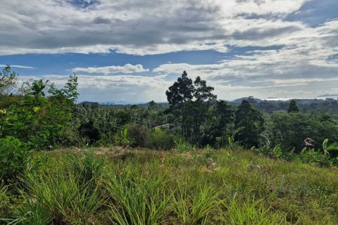 Земельный участок в Самуи, Таиланд 5928м2  № 164635