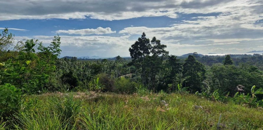 Terrain à Ko Samui, Thaïlande 5928 m2 № 164635