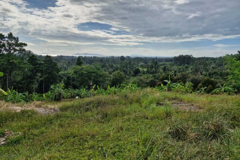 Terrain à Ko Samui, Thaïlande 5928 m2 № 164635 - photo 7