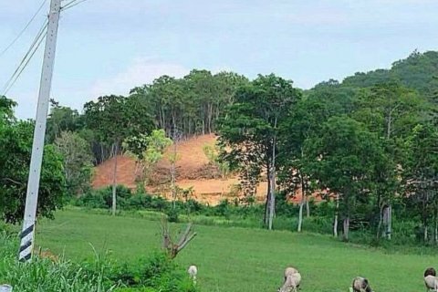 Земельный участок в Паттайе, Таиланд № 114483 - фото 5