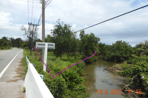 Terrain à Phang Nga, Thaïlande 15200 m2 № 155988 - photo 3