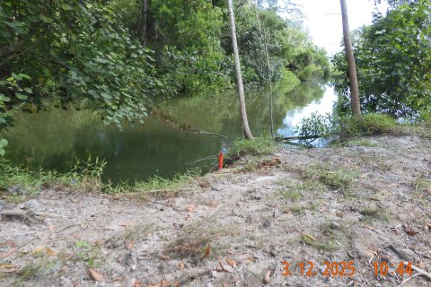 Terrain à Phang Nga, Thaïlande 15200 m2 № 155988 - photo 5