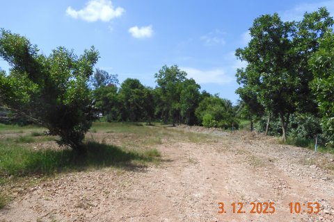 Terrain à Phang Nga, Thaïlande 15200 m2 № 155988 - photo 4