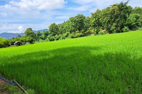 Terrain à Chiang Mai, Thaïlande 6180 m2 № 155984 - photo 3