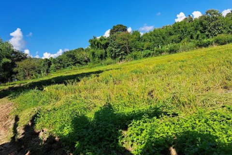 Terrain à Chiang Mai, Thaïlande 6180 m2 № 155984 - photo 2