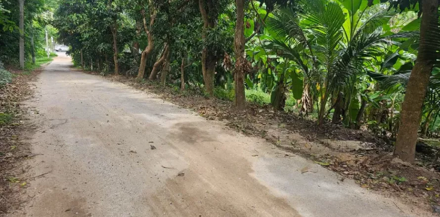 Земельный участок в Самуи, Таиланд 400м2  № 138602