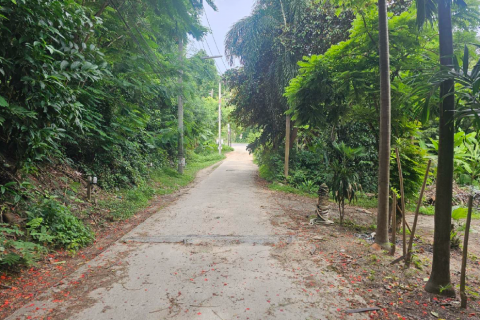 Земельный участок в Самуи, Таиланд 400м2  № 138602 - фото 4