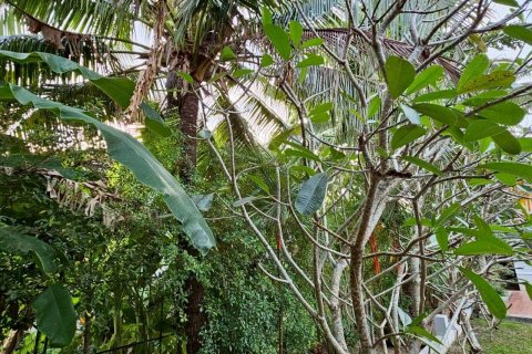 Villa in Phuket, Thailand 4 bedrooms № 159508 - photo 18