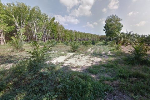 Land in Phang Nga, Thailand 6980 sq.m. № 159509 - photo 2