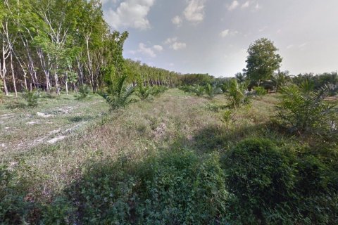 Land in Phang Nga, Thailand 6980 sq.m. № 159509 - photo 4