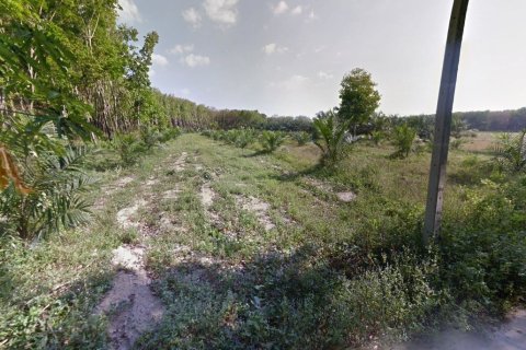 Land in Phang Nga, Thailand 6980 sq.m. № 159509 - photo 5