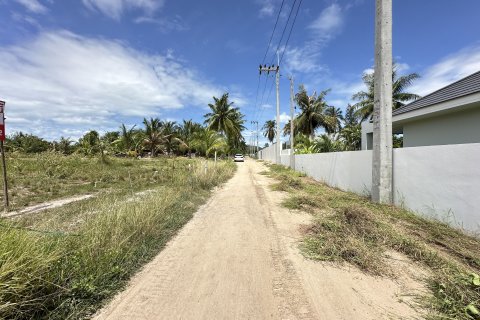 Земельный участок в Хуа Хине, Таиланд 2400м2  № 136362 - фото 12