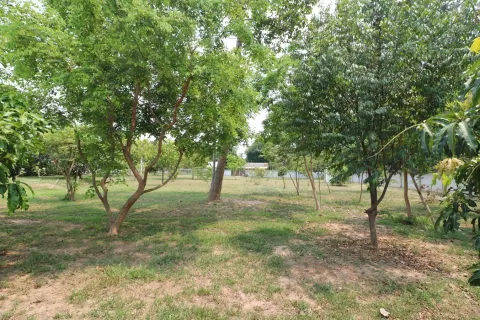 Земельный участок в Удонтхани, Таиланд 3300м2  № 164686 - фото 3