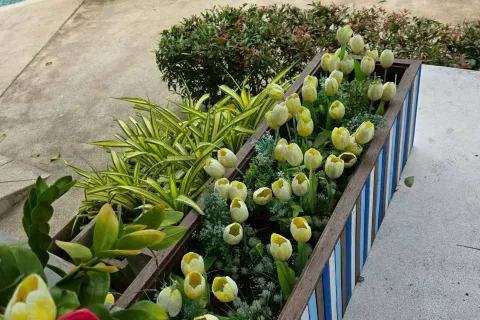 Кондоминиум с 3 спальнями в Хуа Хине, Таиланд № 164327 - фото 18