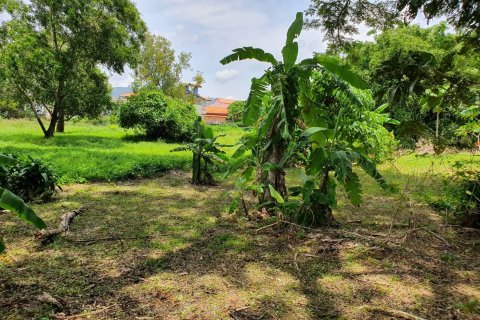 Terrain à Phuket, Thaïlande 8028 m2 № 156679 - photo 5