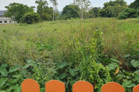 Terrain à Phuket, Thaïlande 8028 m2 № 156679 - photo 4