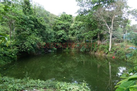 Land in Ko Chang, Thailand 1600 sq.m. № 173346 - photo 12