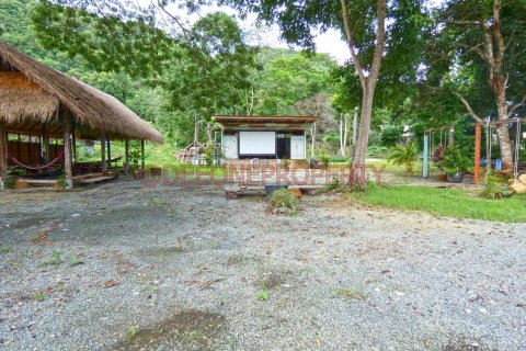 Land in Ko Chang, Thailand 1600 sq.m. № 173346 - photo 7