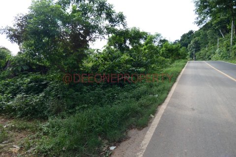 Land in Ko Chang, Thailand 1600 sq.m. № 173346 - photo 18