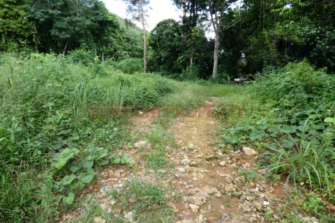 Land in Ko Chang, Thailand 1600 sq.m. № 173346 - photo 15