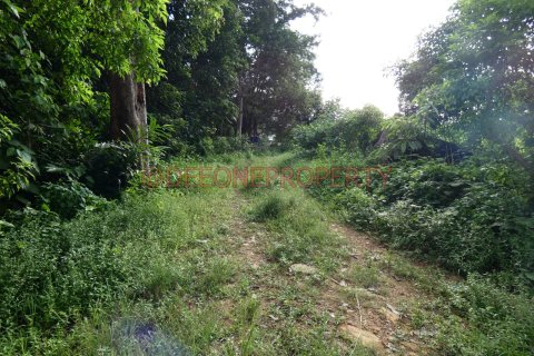 Land in Ko Chang, Thailand 1600 sq.m. № 173346 - photo 17