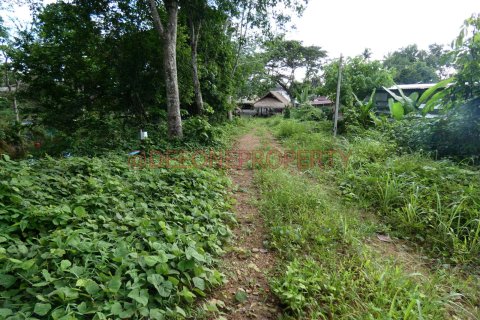 Land in Ko Chang, Thailand 1600 sq.m. № 173346 - photo 14