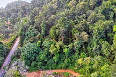 Land in Ko Chang, Thailand 1600 sq.m. № 173346 - photo 5