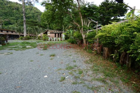 Land in Ko Chang, Thailand 1600 sq.m. № 173346 - photo 24