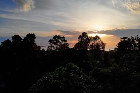 Land in Ko Chang, Thailand 1600 sq.m. № 173346 - photo 6