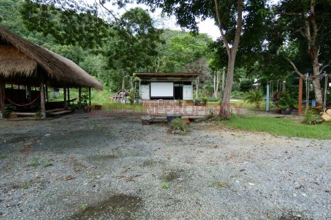 Land in Ko Chang, Thailand 1600 sq.m. № 173346 - photo 11