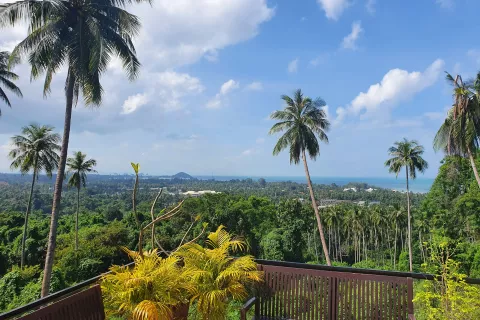 Villa à Ko Samui, Thaïlande 9 chambres № 140253 - photo 24