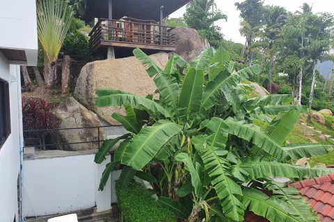 Villa à Ko Samui, Thaïlande 9 chambres № 140253 - photo 20