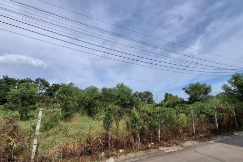 Terrain à Rayong, Thaïlande 3202 m2 № 167866 - photo 5