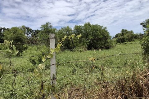 Terrain à Rayong, Thaïlande 3202 m2 № 167866 - photo 3