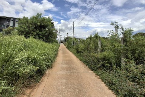 Terrain à Rayong, Thaïlande 3202 m2 № 167866 - photo 9