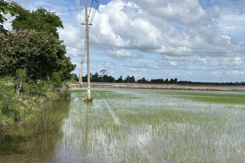 Land in Chachoengsao, Thailand 28776 sq.m. № 161747 - photo 3