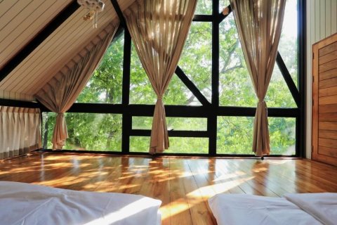 Hotel in Chiang Mai, Thailand № 164298 - photo 22