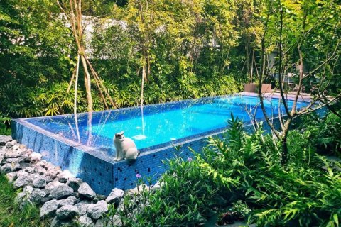 Hotel in Chiang Mai, Thailand № 164298 - photo 10