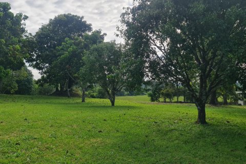 Villa in Chiang Rai, Thailand 3 bedrooms № 164295 - photo 29