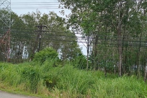 Земельный участок в Паклоке, Таиланд 68800м2  № 164293 - фото 1